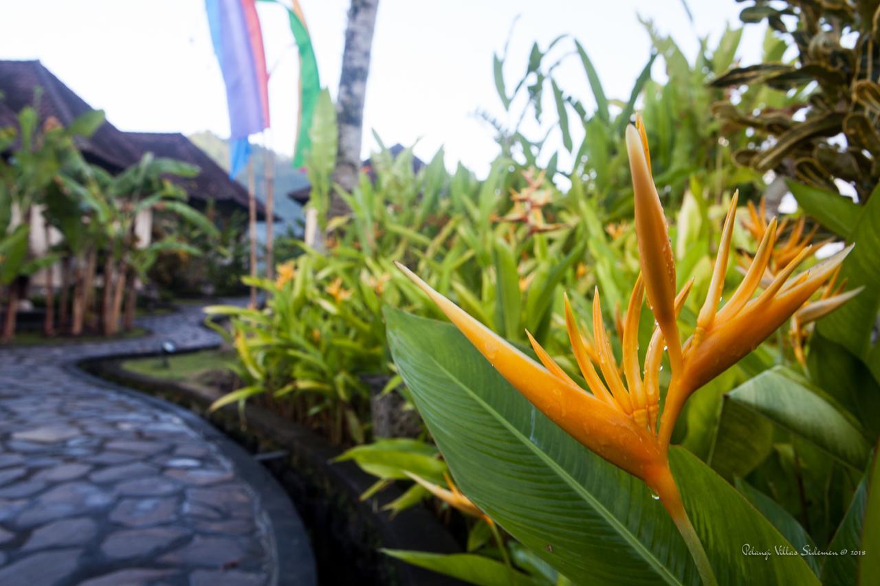 Pelangi Villas Sidemen By Agata Exterior photo